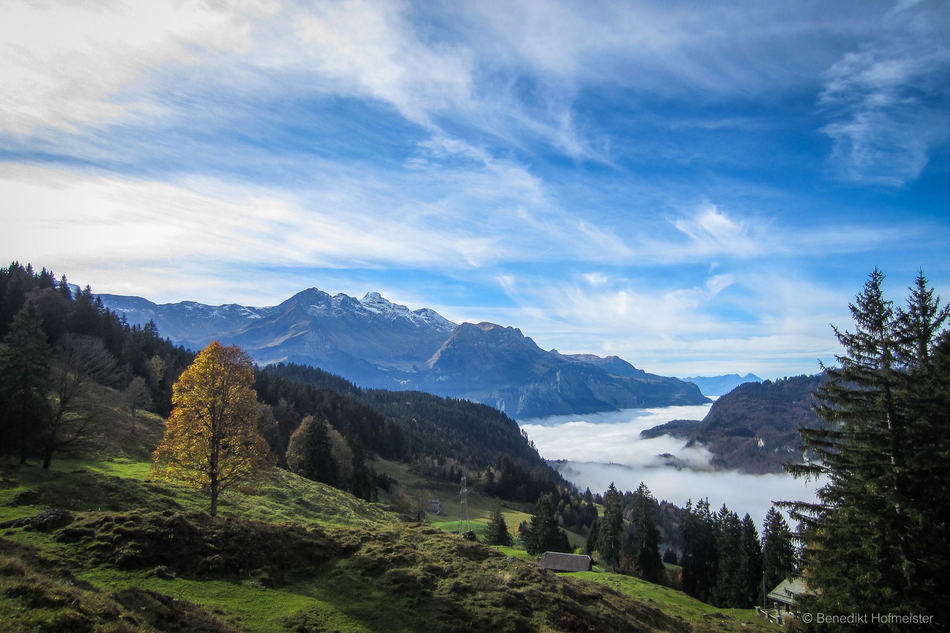 01_Herbst, Lungern, Specialized Turbo Levo FSR_31. Oktober 2016.jpg