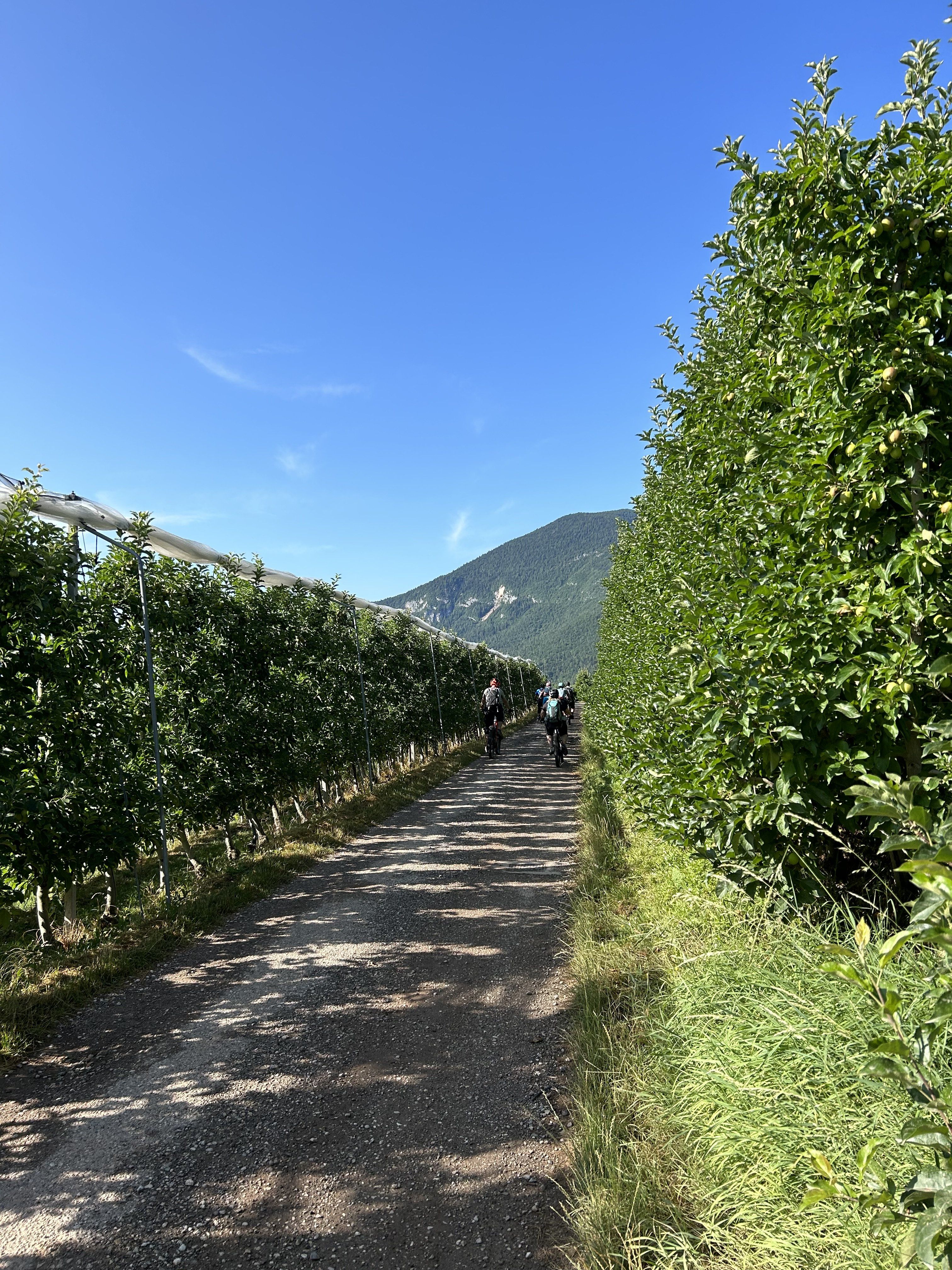 5. Etappe - Äpfel Wein Oliven2.JPG