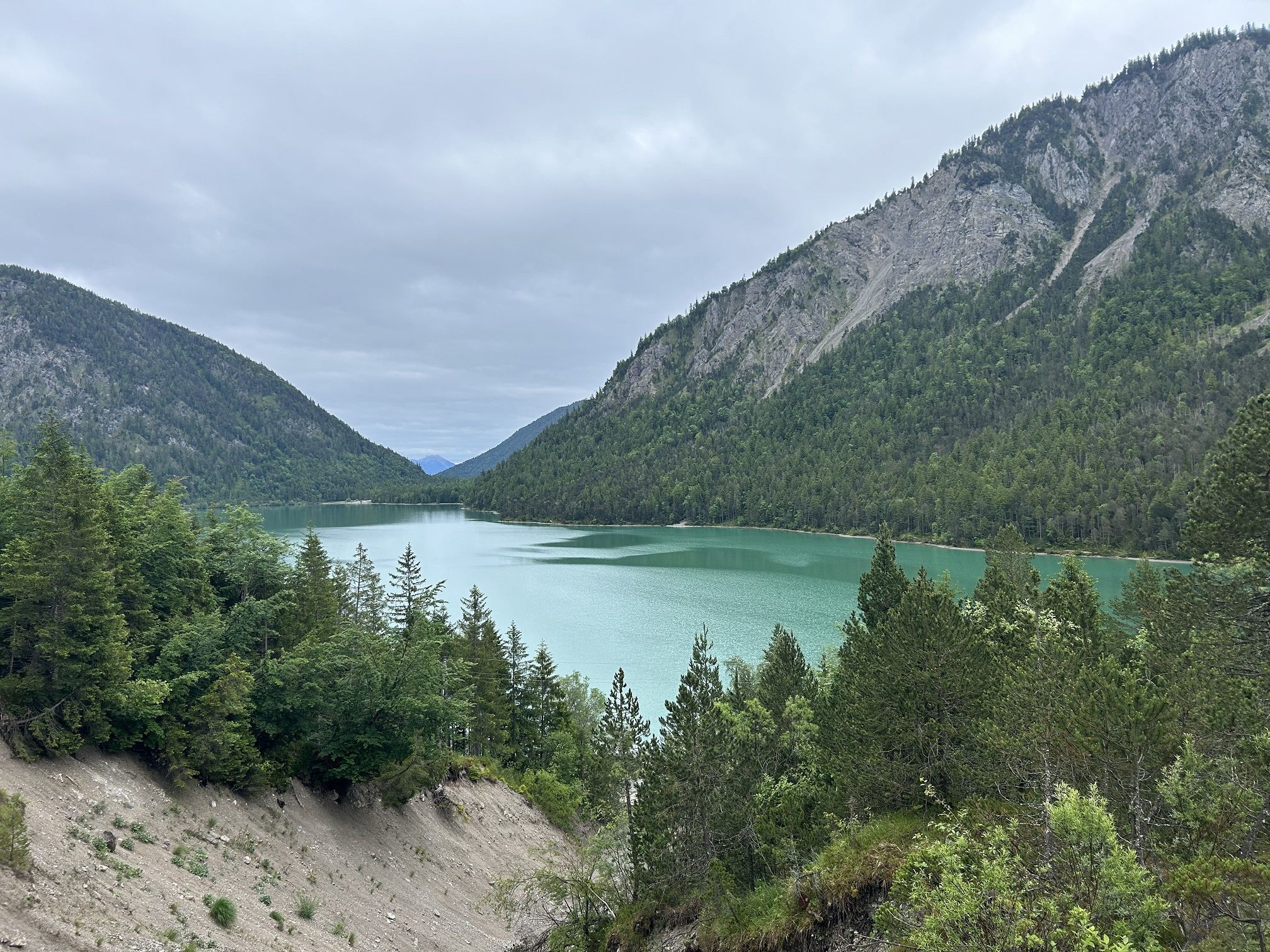 Blick auf den Plansee kleiner.jpg