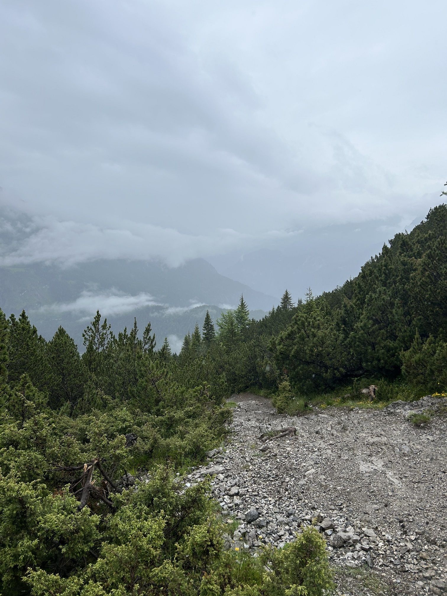 Blick den Blindseetrail herunter kleiner.jpg