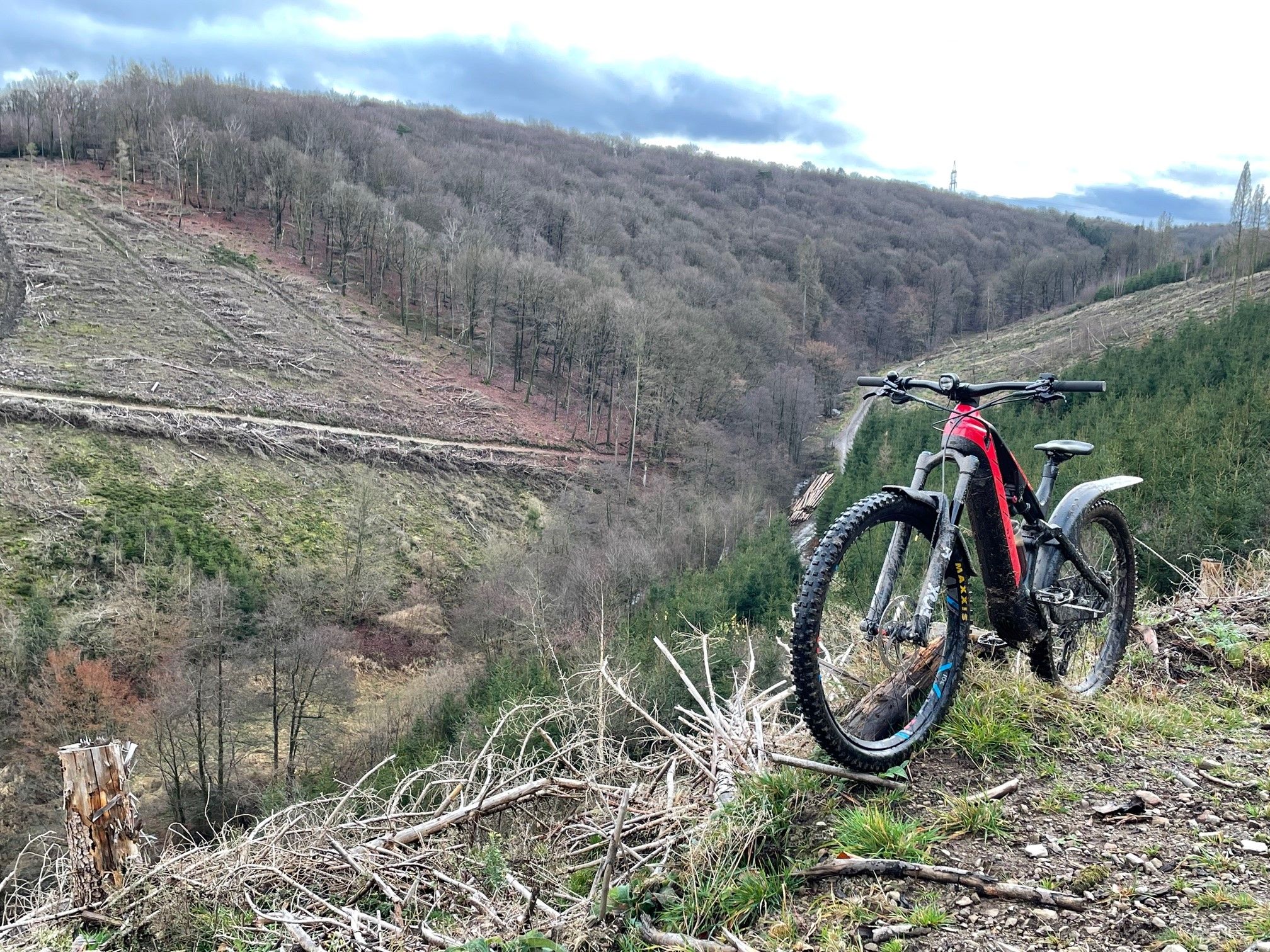 Blick ins Mäckinger Bachtal.jpg