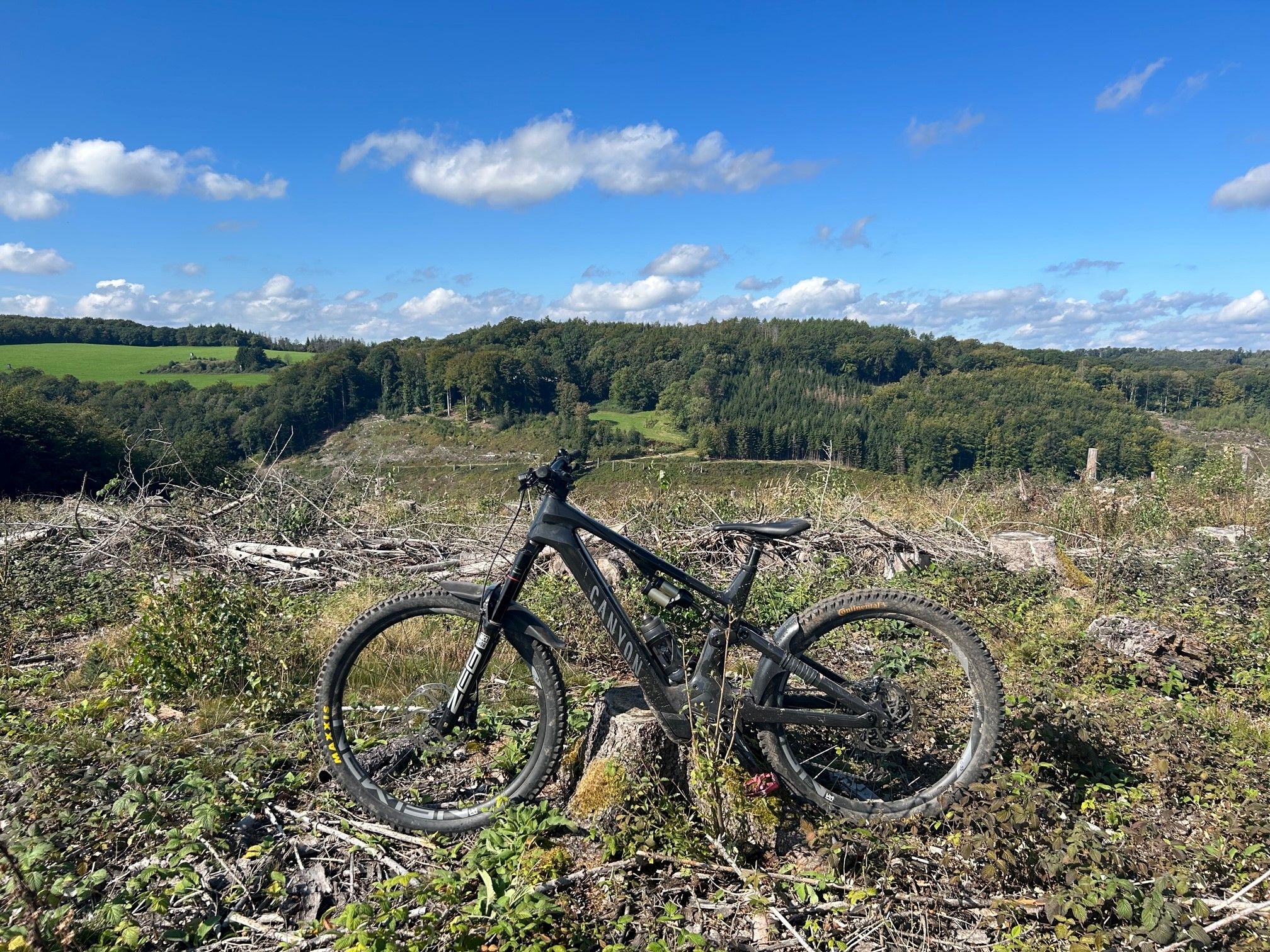 Canyon mit Horizont.jpg