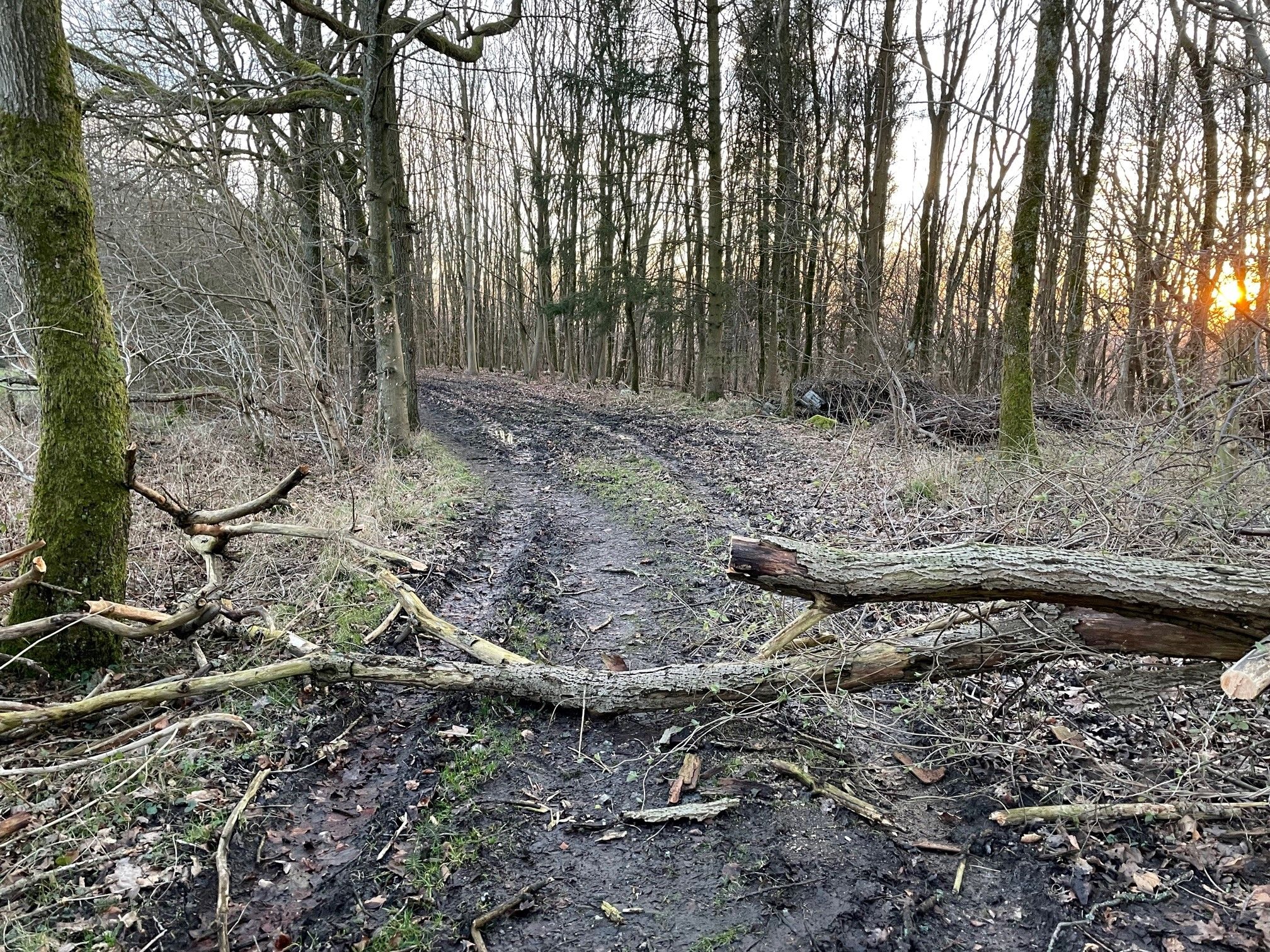 Direkt vor der Haustür 2.jpg