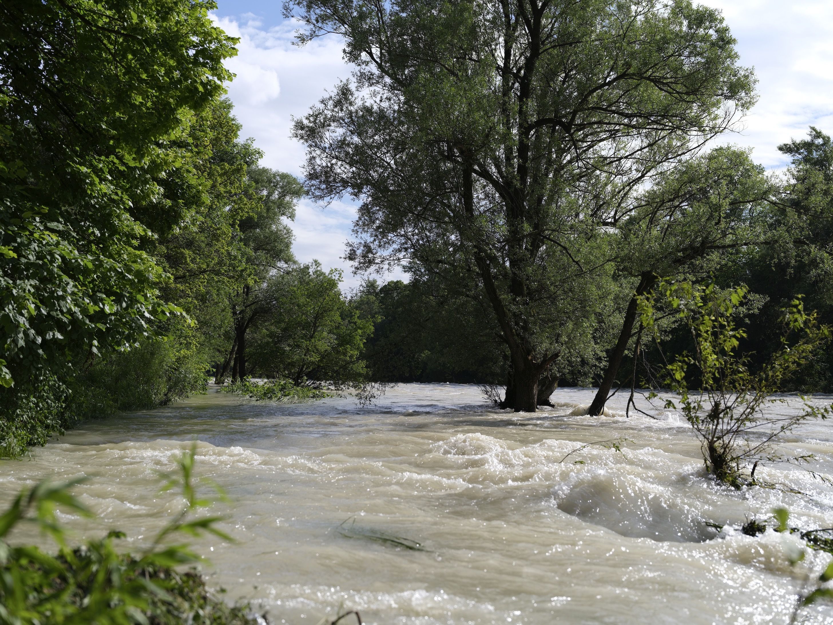 isar_1.jpg