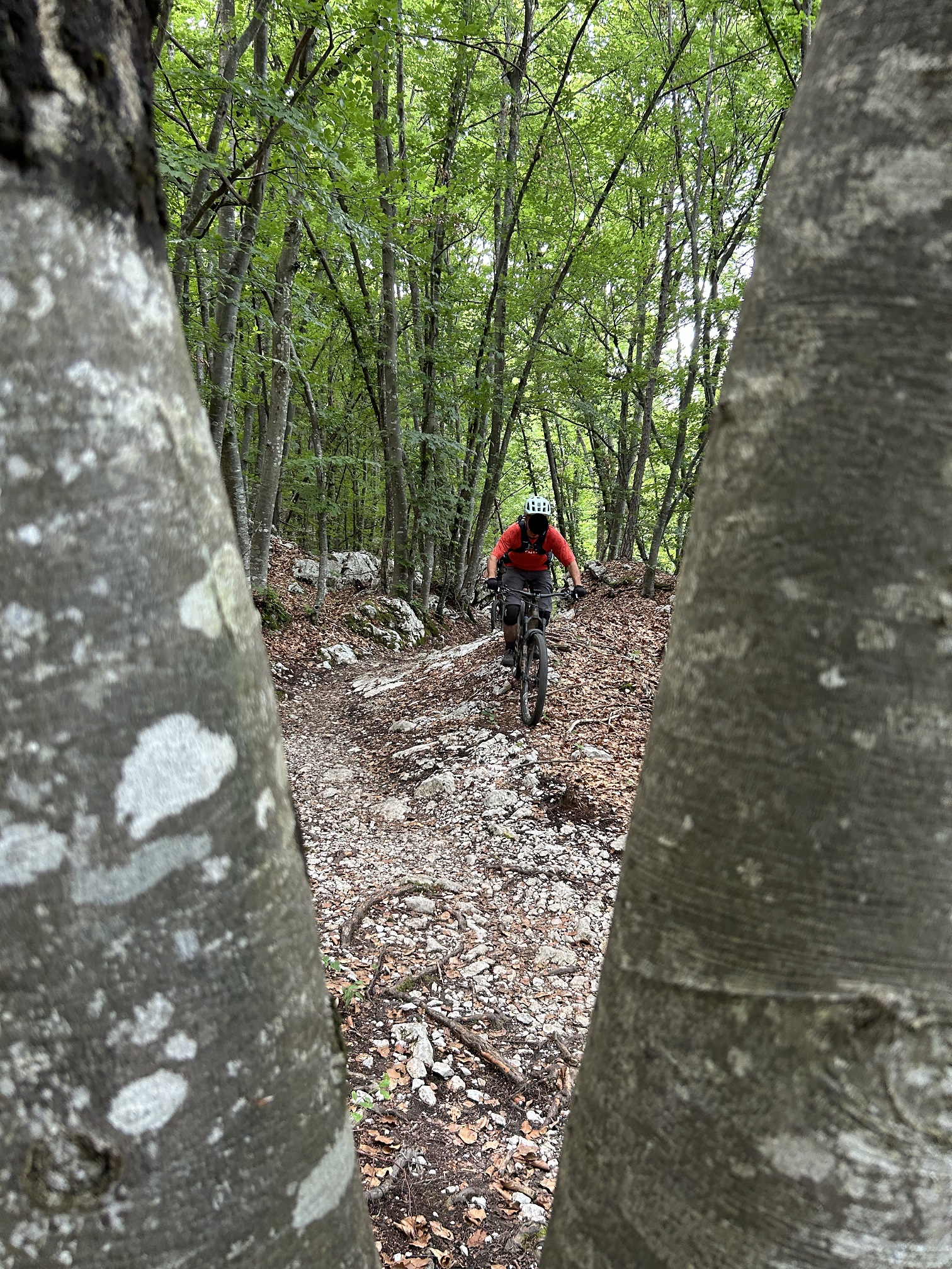 kleiner Trail verfremdet kleiner.jpg