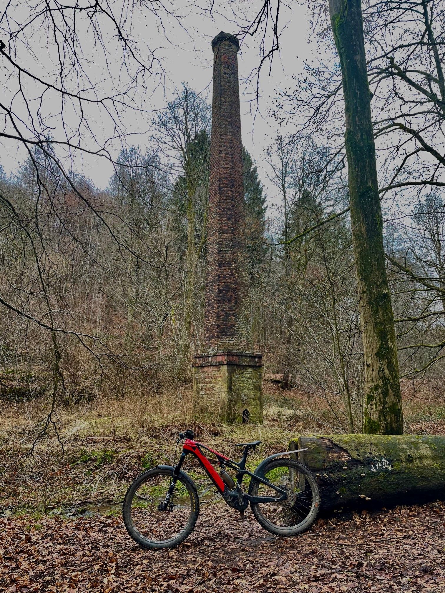 Rotwild am Kamin.jpg