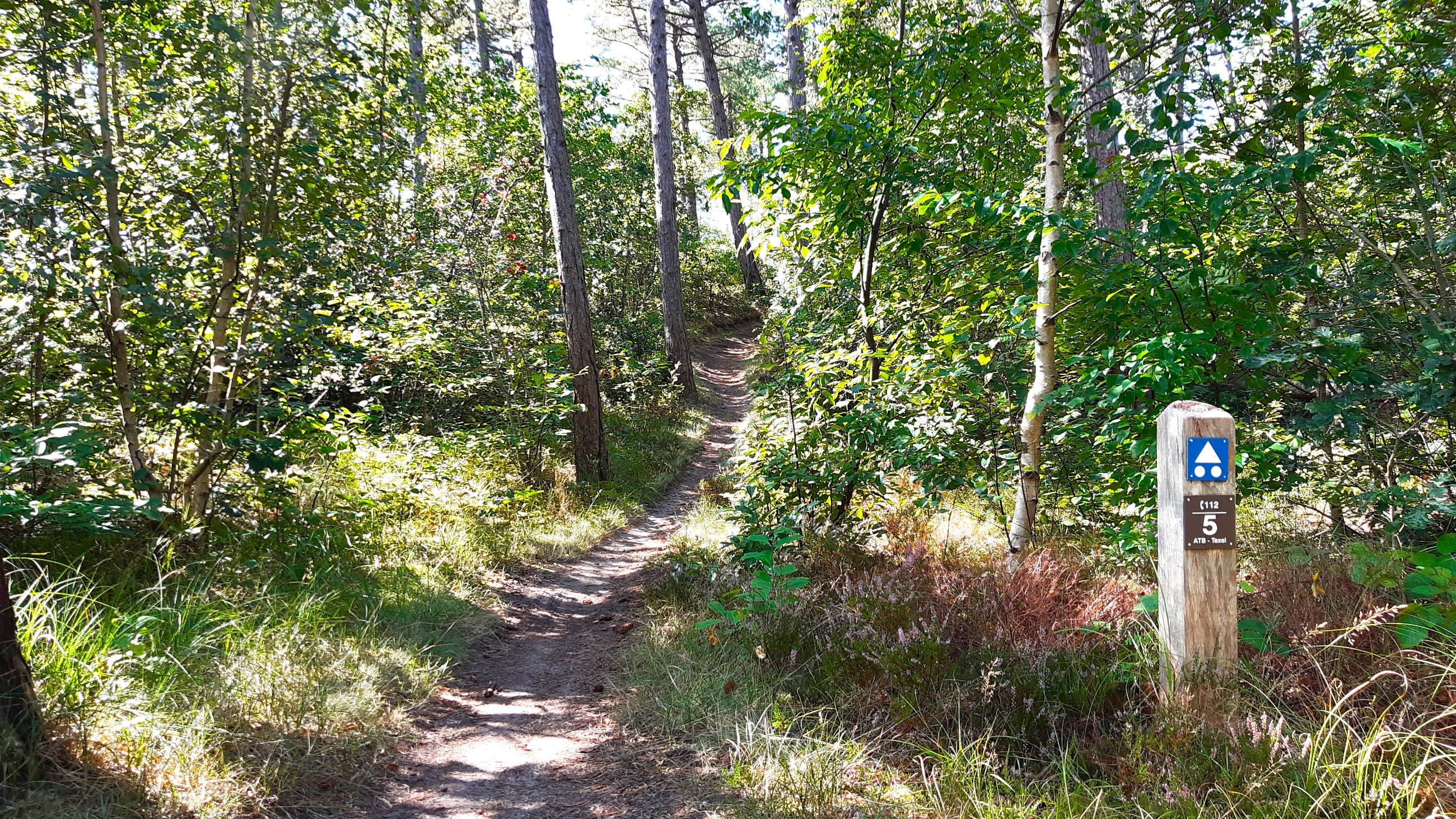 Trail für Fahrradfahrer.jpg