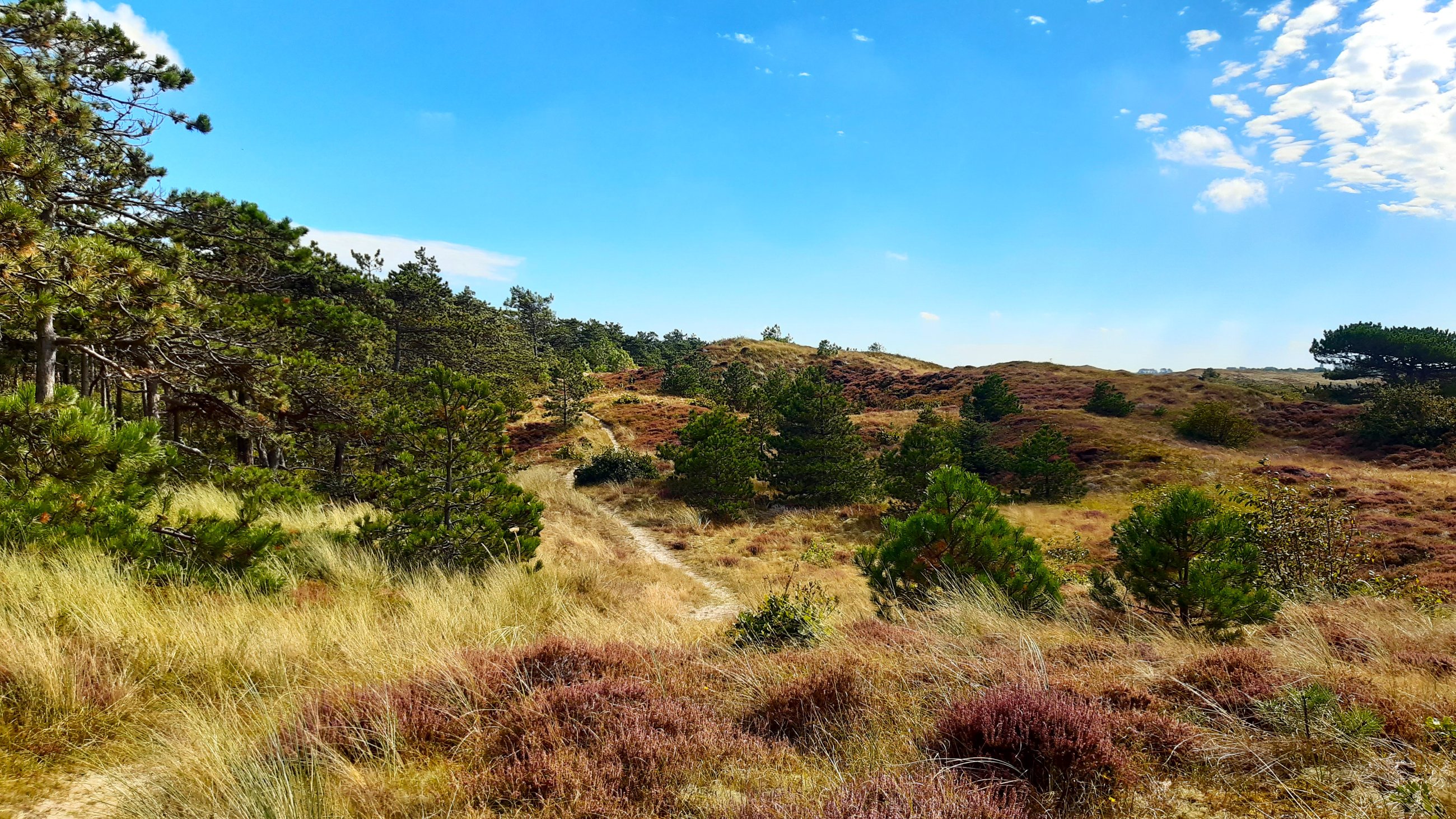 Trail für Fußgänger2.jpg