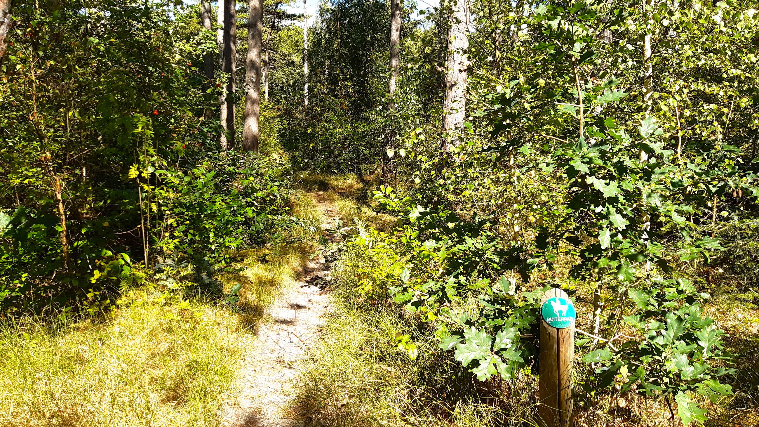 Trail für Reiter.jpg