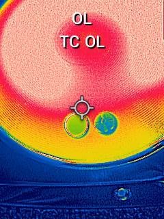 FLIR1000060.jpeg