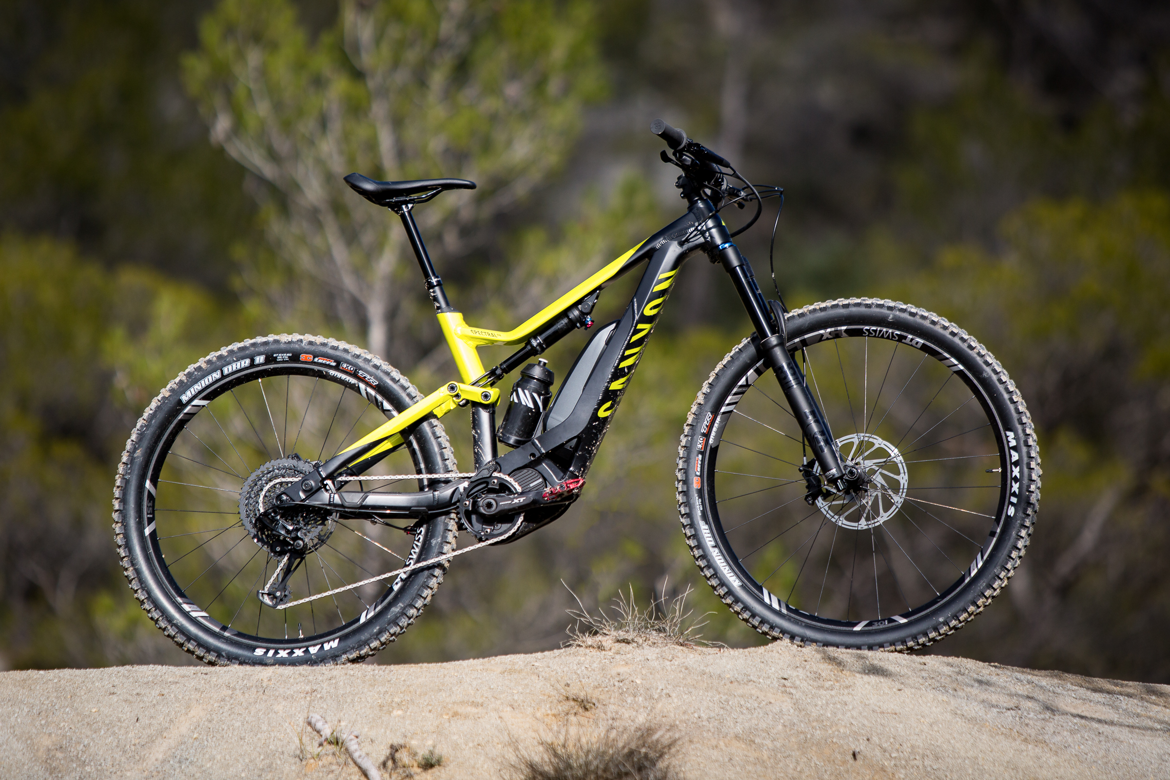 canyon spectral on 8.0 2019