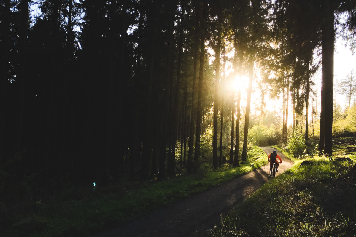 E-MTB-Fotos mit dem Smartphone: Die besten Tipps für Handybilder auf dem Trail