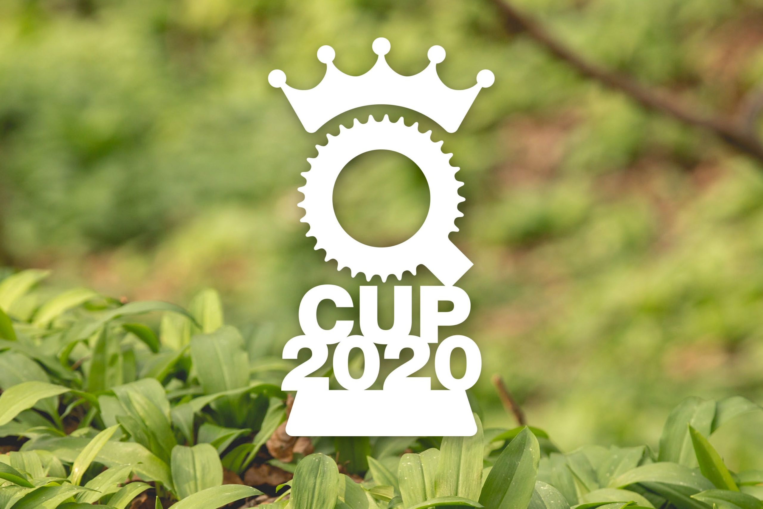 Q-Cup 2020: Die Quarantäne-Motivation für alle Winterpokal-Fans!