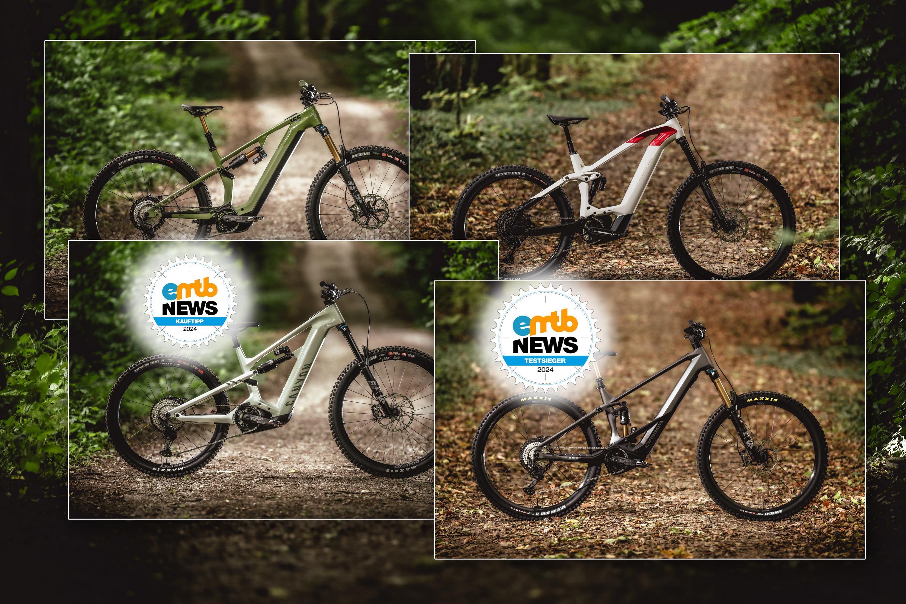 Canyon, Cube, Haibike und Orbea im Test: 🏆 Orbea wird Testsieger, 🏅Canyon holt Kauftipp!